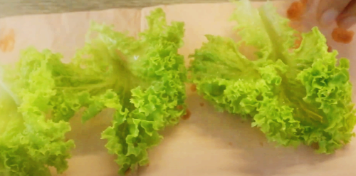 양상추 물기 제거