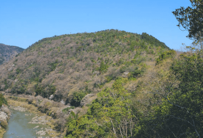 태배산 국립공원 실시간 cctv