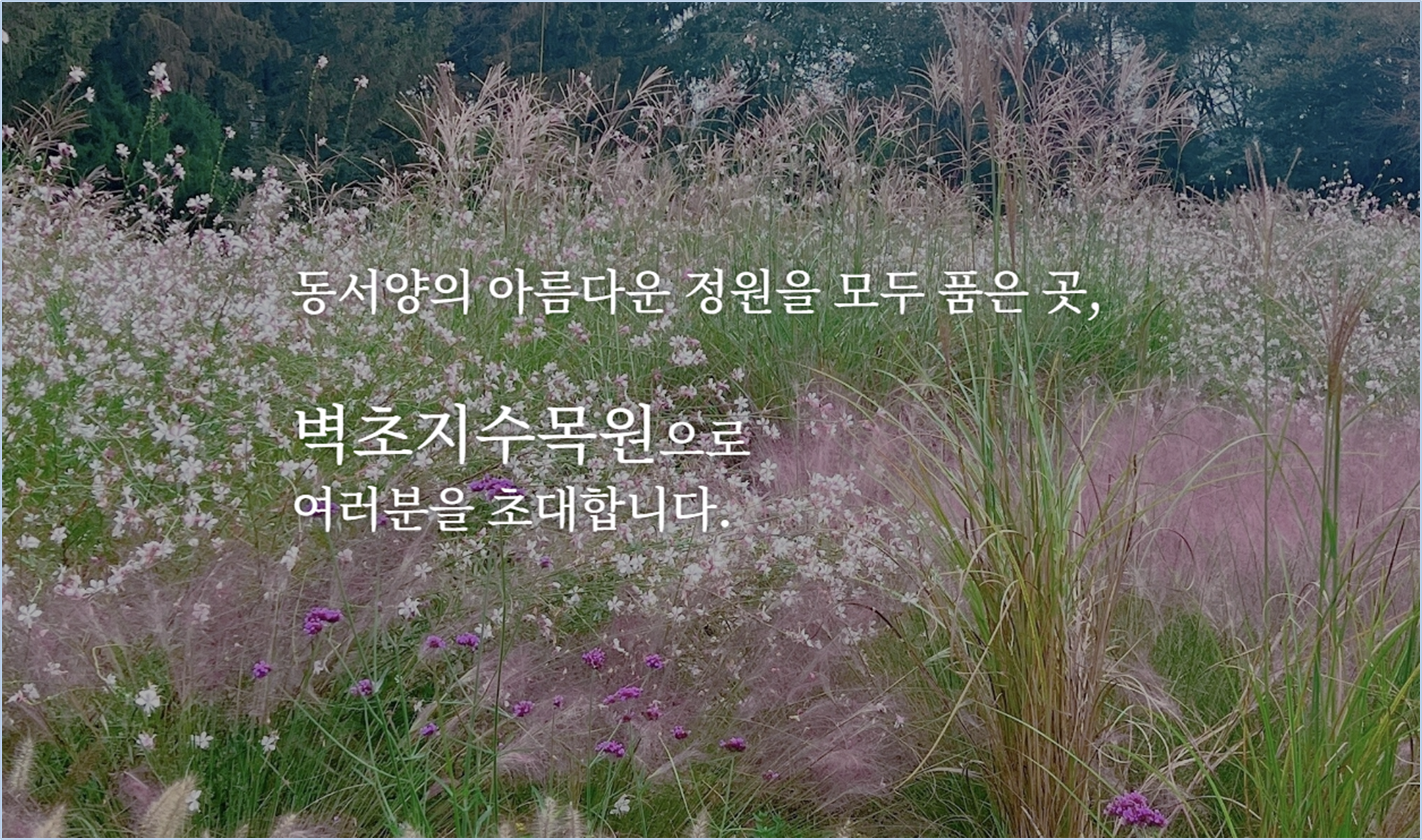 벽초지수목원-가을축제