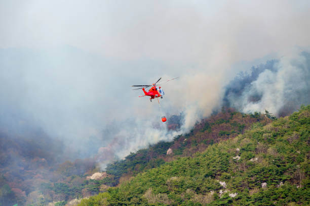 소방공무원 되는 방법