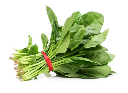 철분이 많은 음식 Best 10