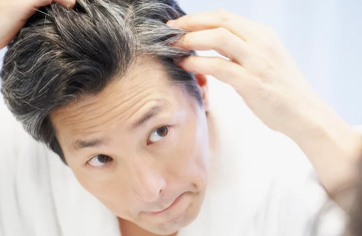 흰머리 이미지 사진