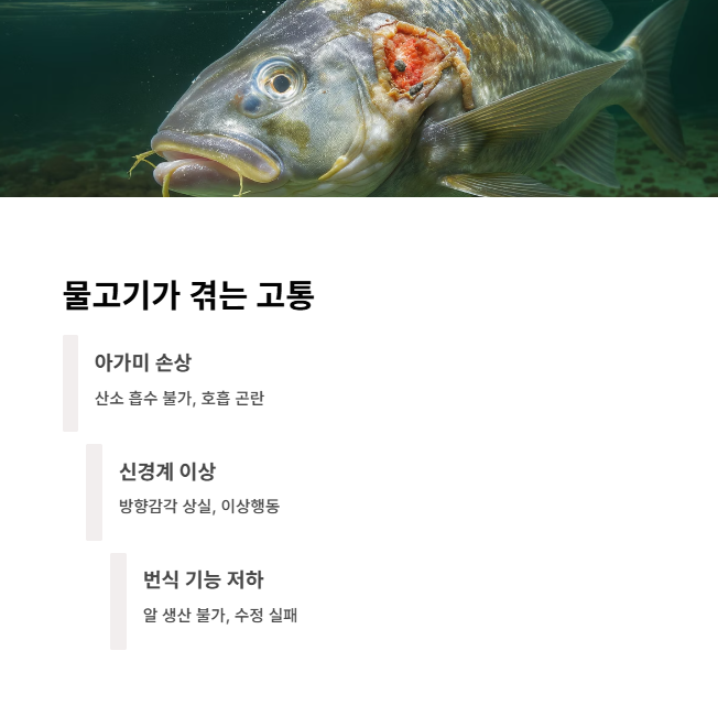 물고기에게-일어나는-피해-유형