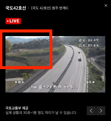 반계리 은행나무 CCTV 영상4