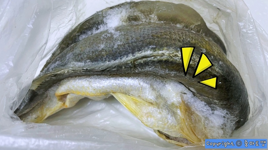 오래된-묵은-생선