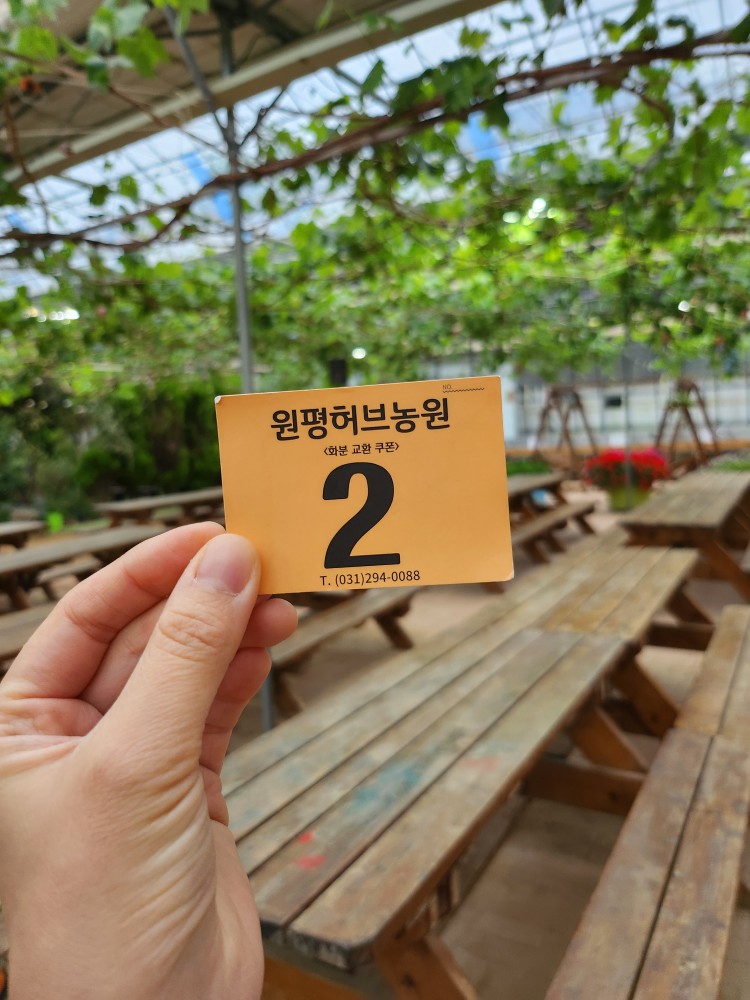 화분 교환 쿠폰