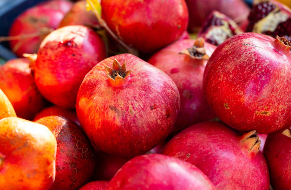 아르기닌 효능! 건강을 위한 필수 아미노산의 모든 것