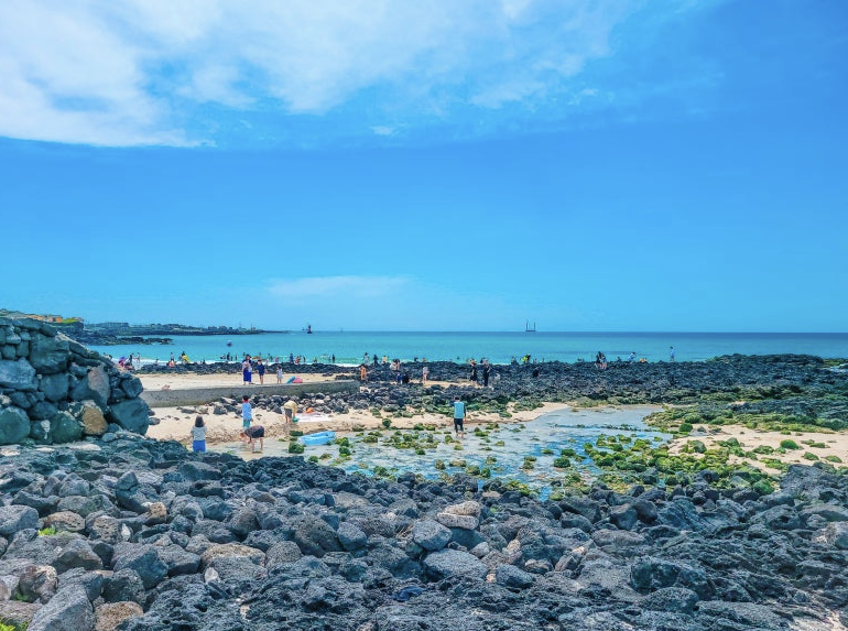 제주 바닷가 이미지