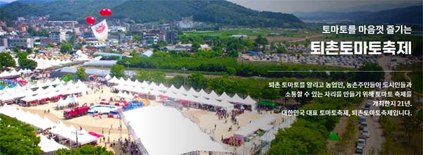 퇴촌 토마토 거리축제