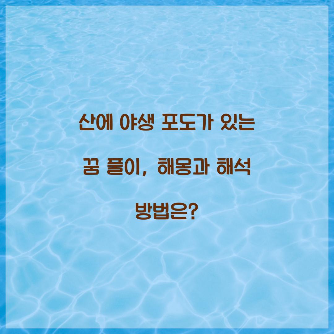 산에 야생 포도가 있는 꿈 풀이 해몽 해석