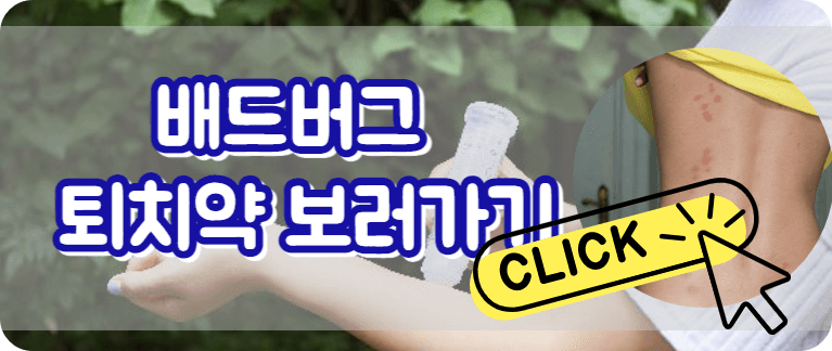 유럽 배드버그 배드버그 증상 배드버그 약 배드버그 스프레이