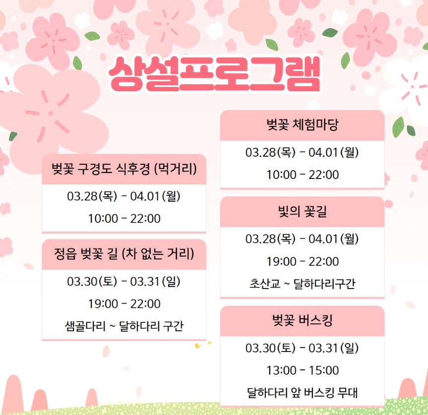 정읍 벚꽃축제