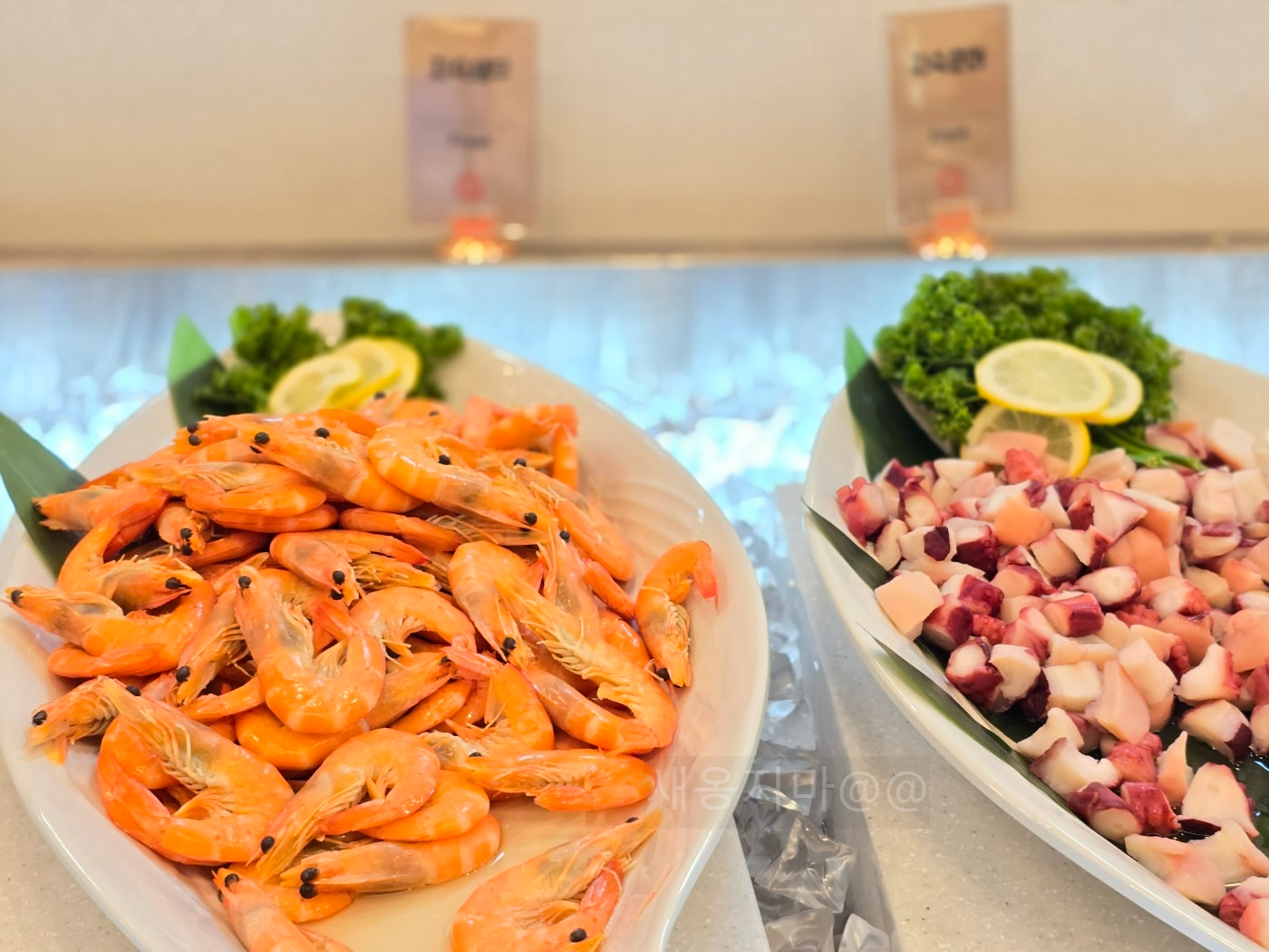 고척-쿠우쿠우-새우-문어