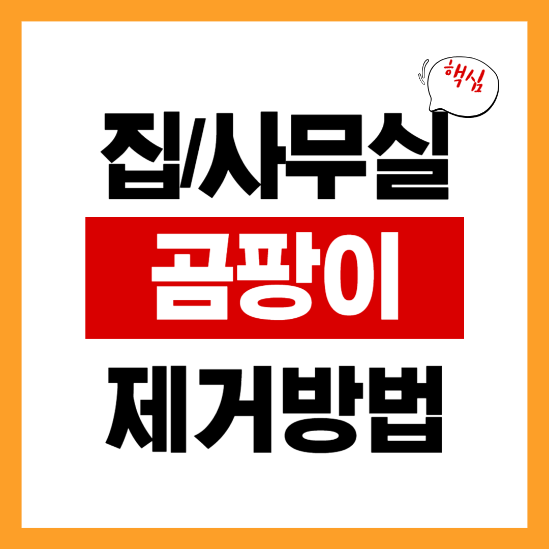 집에서 곰팡이 제거하는 법