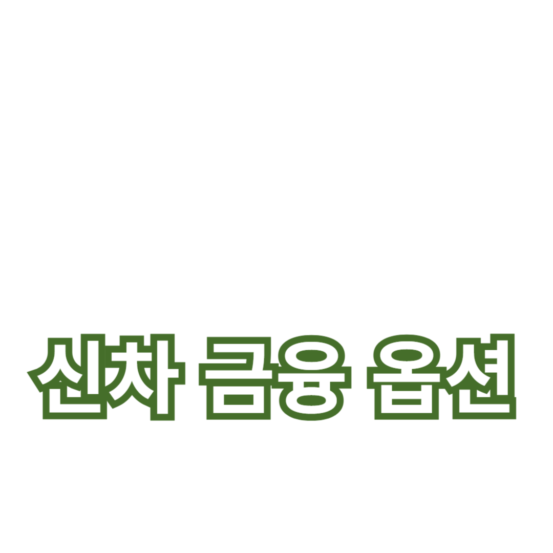 다양한 신차 금융 옵션 및 선택 가이드