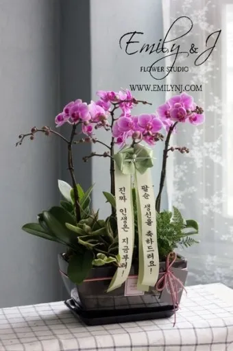 팔순 축하문구 봉투 현수막 축의금 편지 인사말 포토형 축하글 잔치까지_11