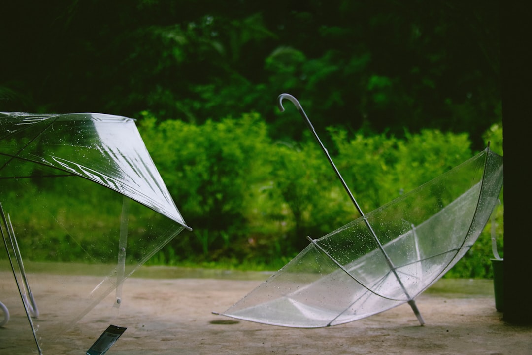 mosquito net