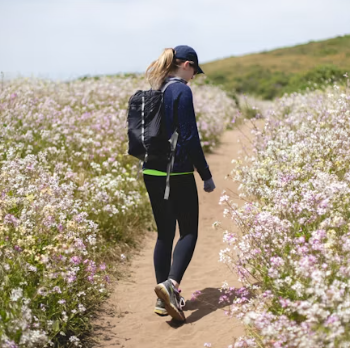 통풍 치료법 진단 기준 합병증