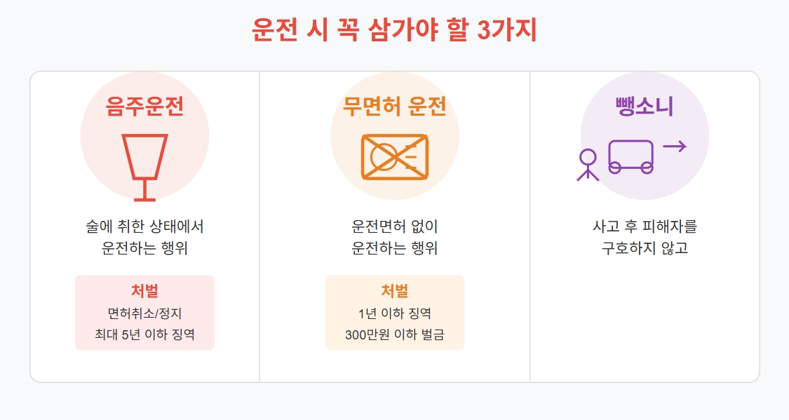 운전 시 삼가야 할 행동