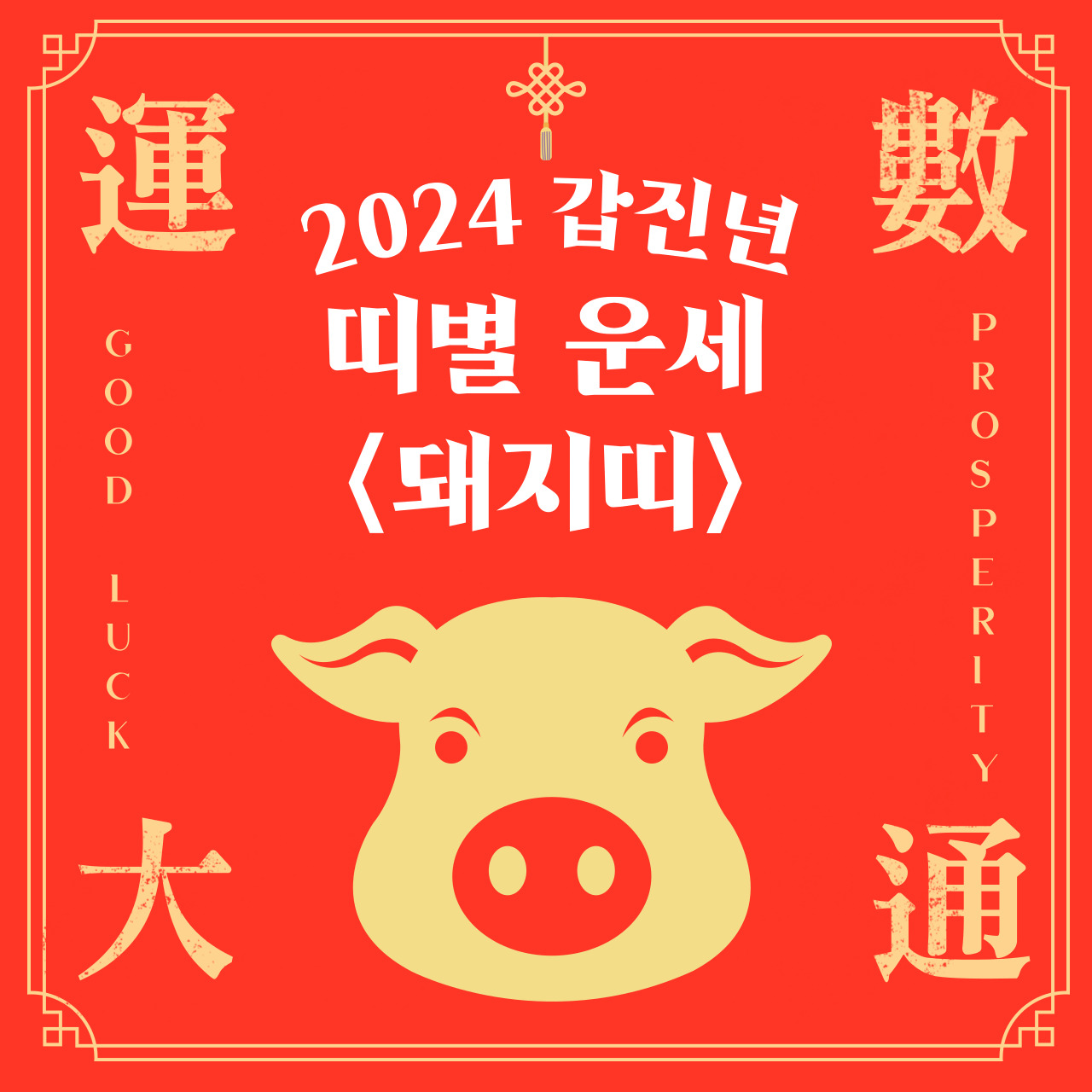 2024년 돼지띠 운세