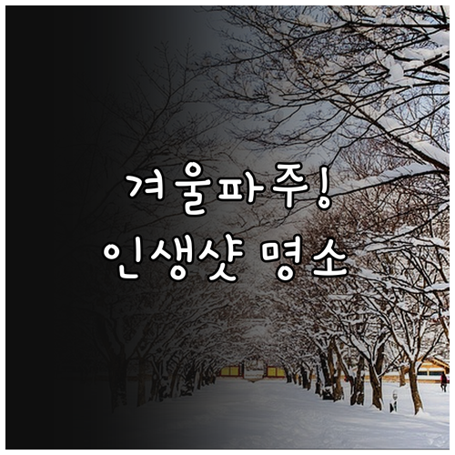 겨울철 파주 나들이 추천 장소와 당일..