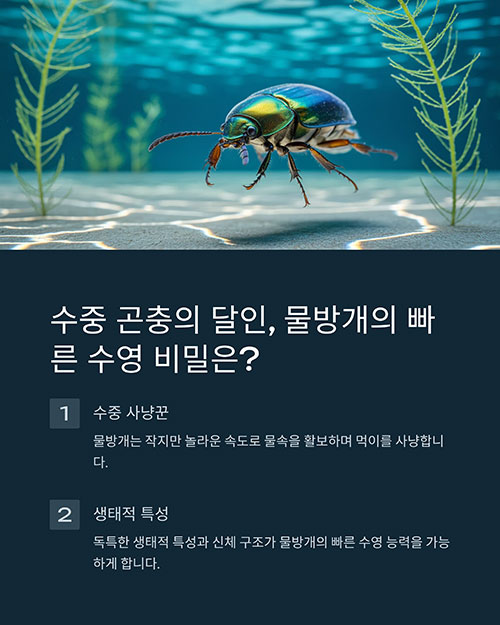 물방개속도비밀, 곤충수영원리, 수중생활곤충, 생태계포식자, 유선형곤충
