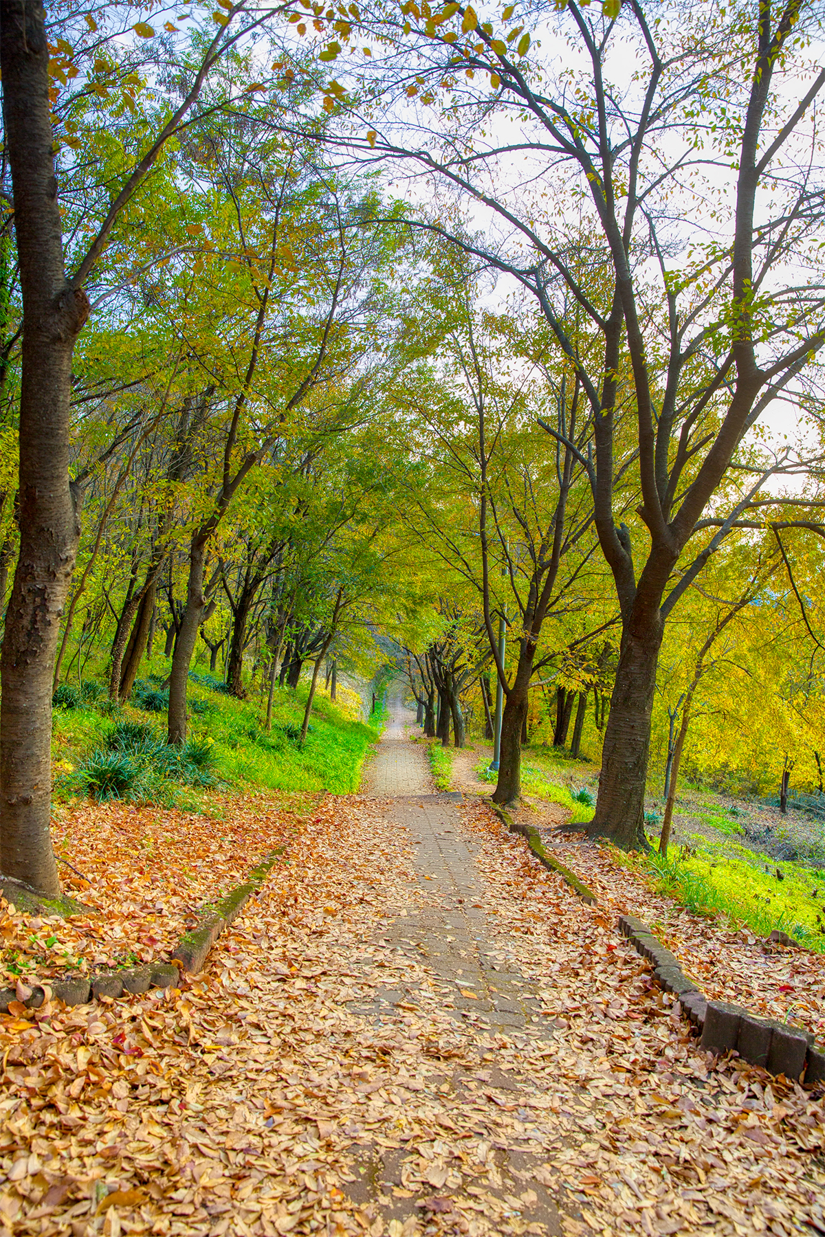 침산공원 산책로