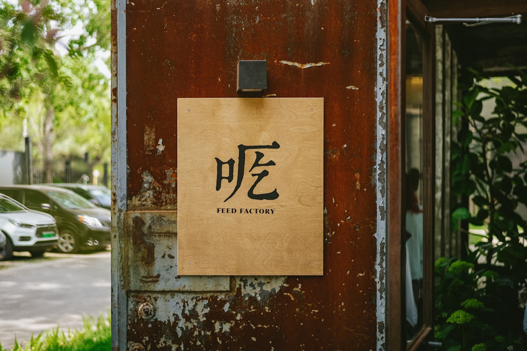 appearance — it best captures the moment something appears, which is the core meaning of 나오는 시기.