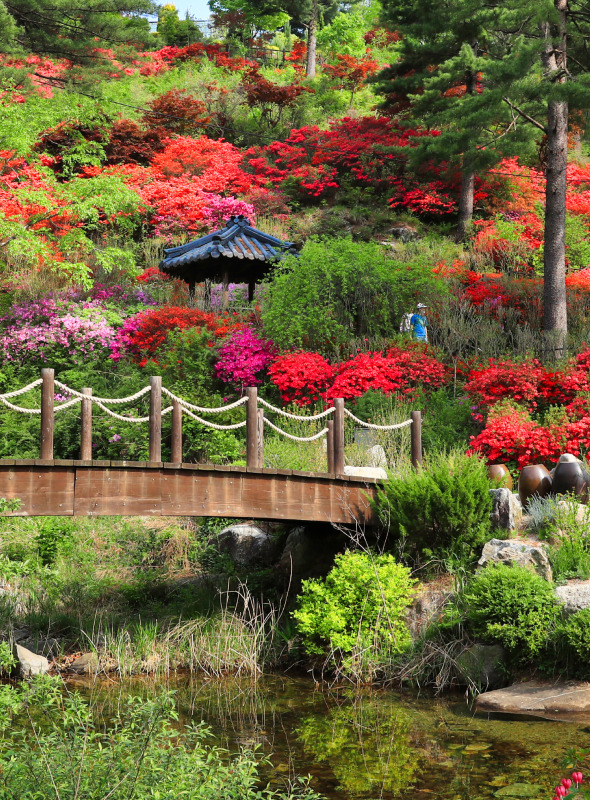아침고요수목원