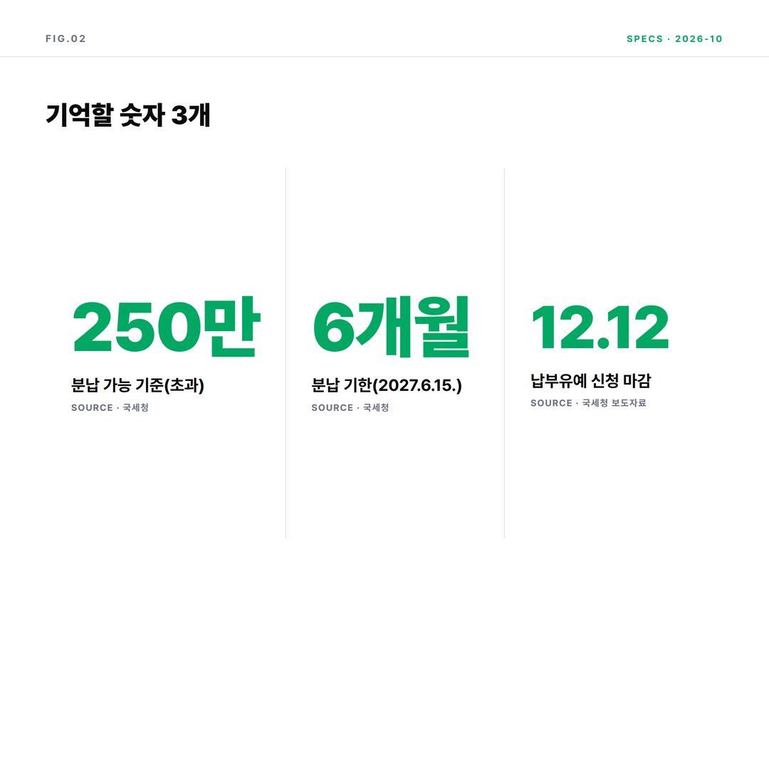 종부세 분납 기준 250만 원, 6개월 기한, 납부유예 신청 12월 12일 인포그래픽