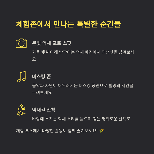 체험존에서 만나는 특별한 순간들
