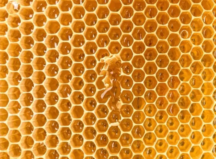 숙취에 좋은 음료