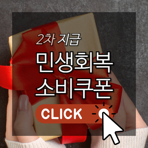 2차 지급 민생회복 소비쿠폰 썸네일