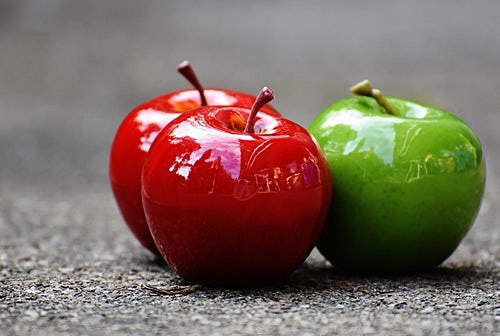 결론, 일반과일 vs 냉동과일 어느것이 더 몸에 좋을까?