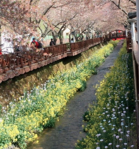 로망스다리