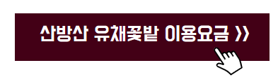 국내 봄 여행지