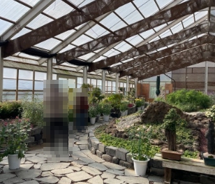 옥천/핫플레이스/대청호/천상의/정원/수생학습식물원