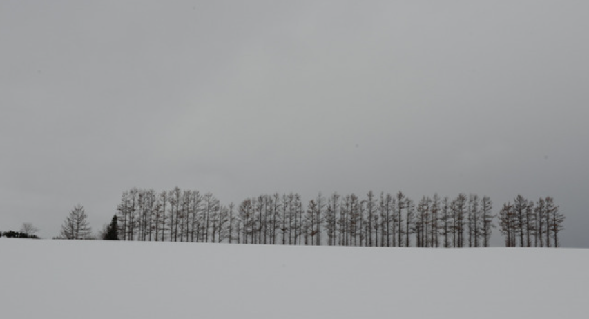 훗카이도 여행