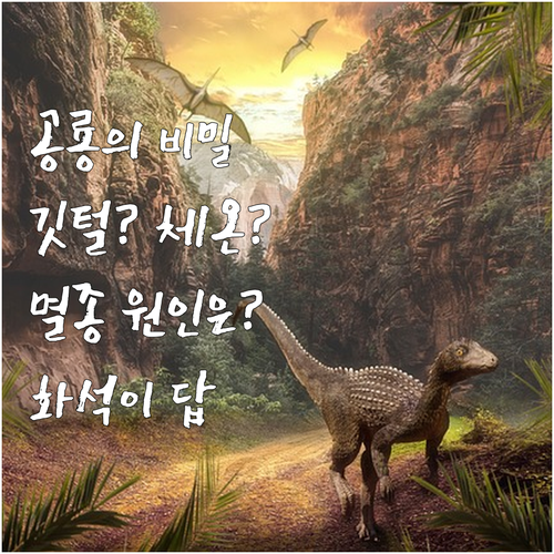 화석이 말해주는 공룡 이야기 깃털 체