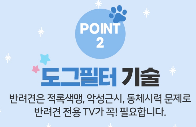 강아지-TV