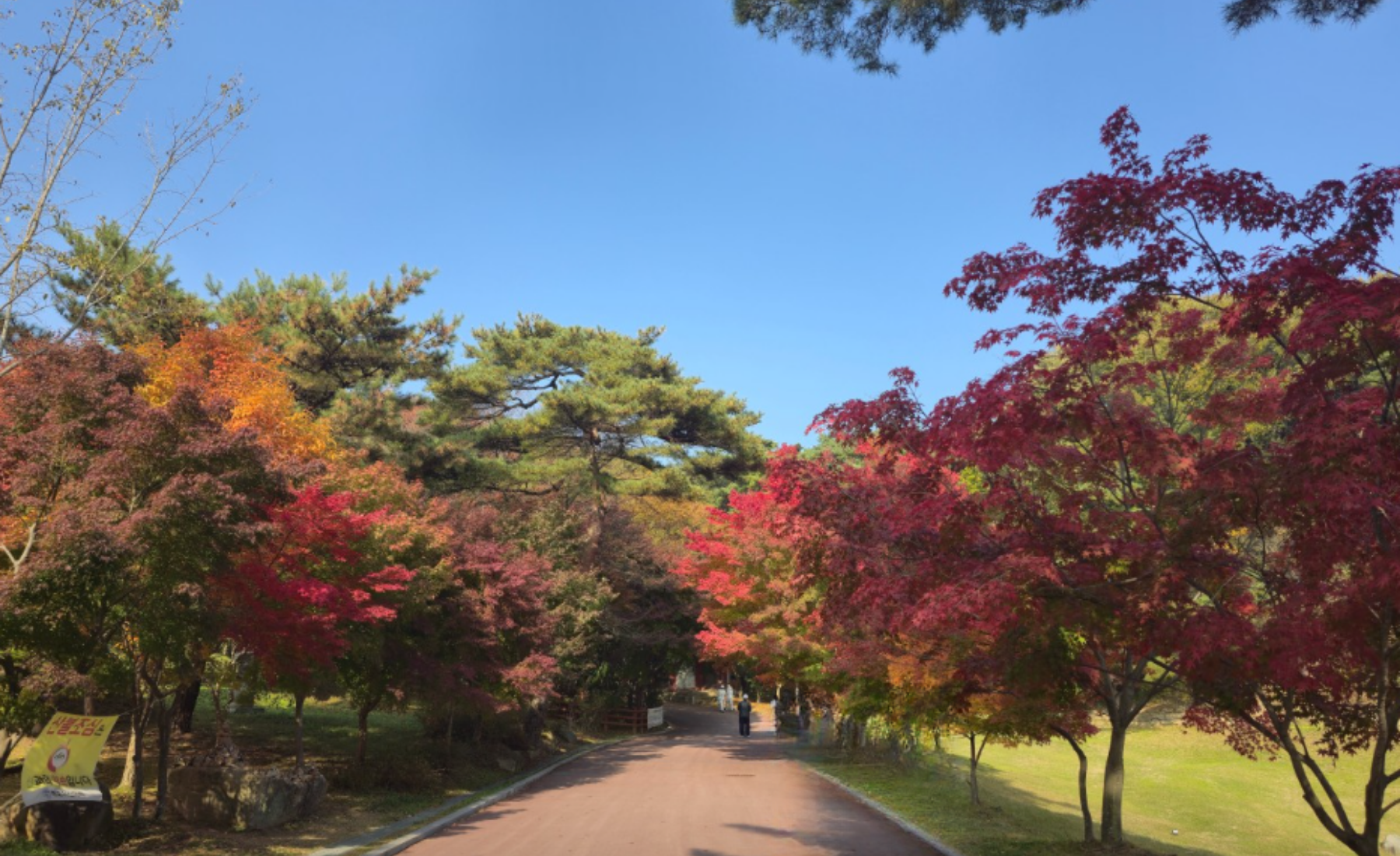 수덕사 단풍