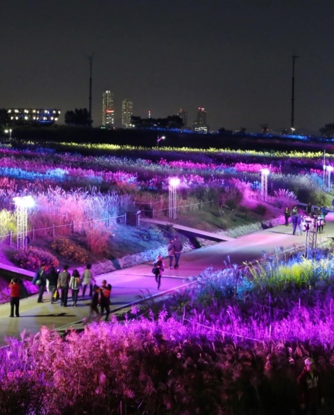 하늘공원 억새축제기간