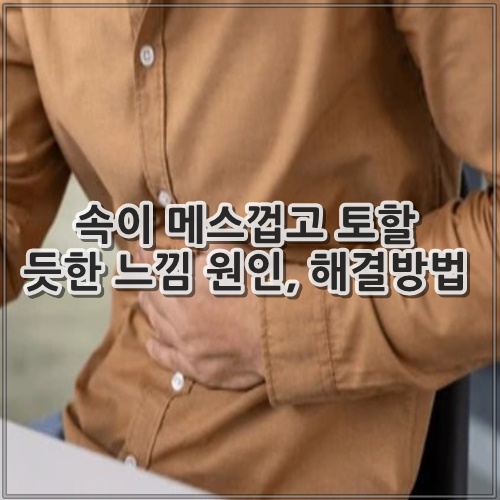 속이 메스껍고 토할 듯한 느낌 원인, 해결방법