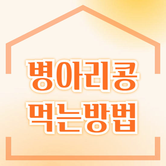 병아리콩 먹는방법