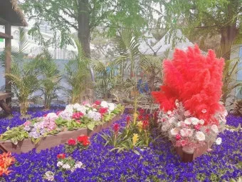 2025 고양국제꽃박람회 일정 사전예약 할인_24