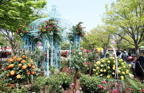 2025 고양국제꽃박람회, '꽃, 상상 그리고 향기' ,고양국제꽃박람회 일정 및 예약 바로가기!!