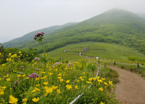곰배령 예약