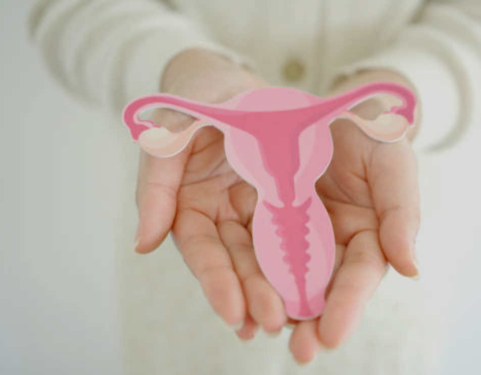 자궁경부암과 관련된 사진2