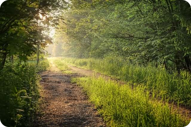 청남대 예약접수 및 입장료 알아보기