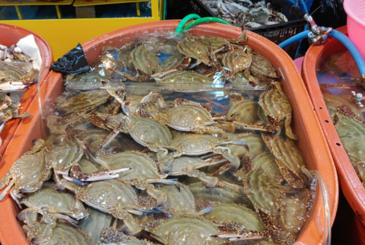 소래포구 꽃게 대야